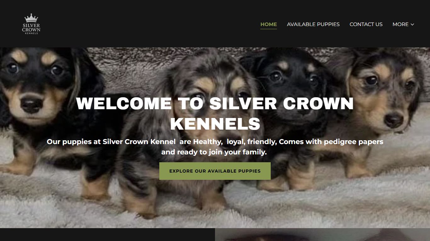 Silver Crown Kennels