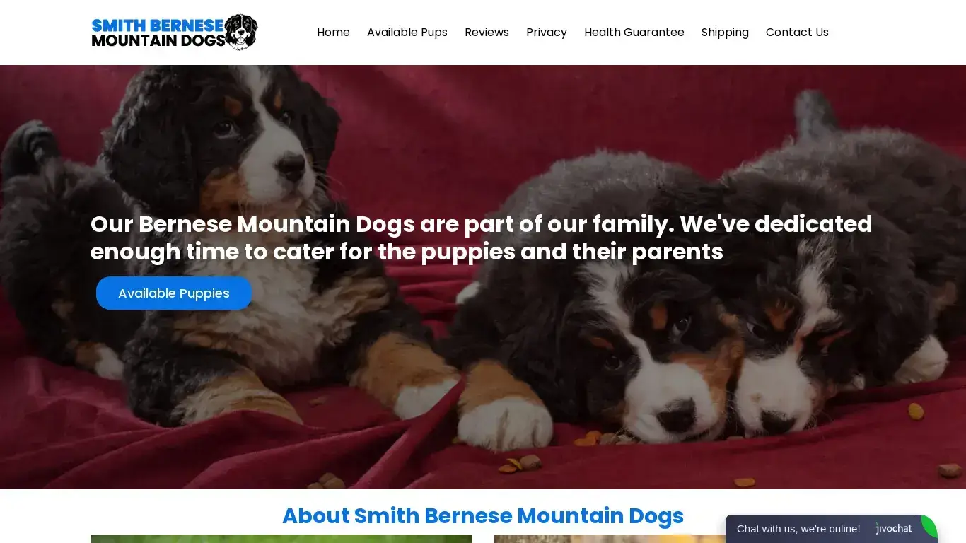Smith Bernese Mountain Dogs
