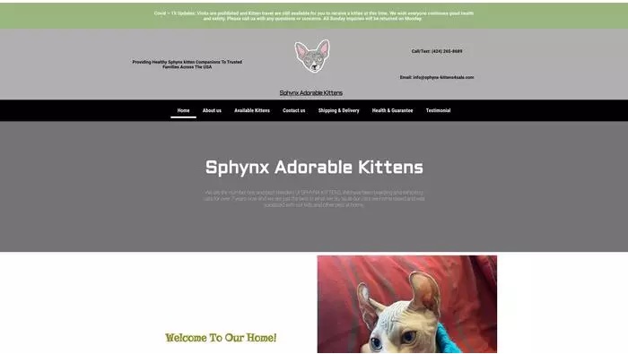 Sphynx kittens 4 sale