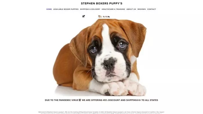 Stephen boxer puppies