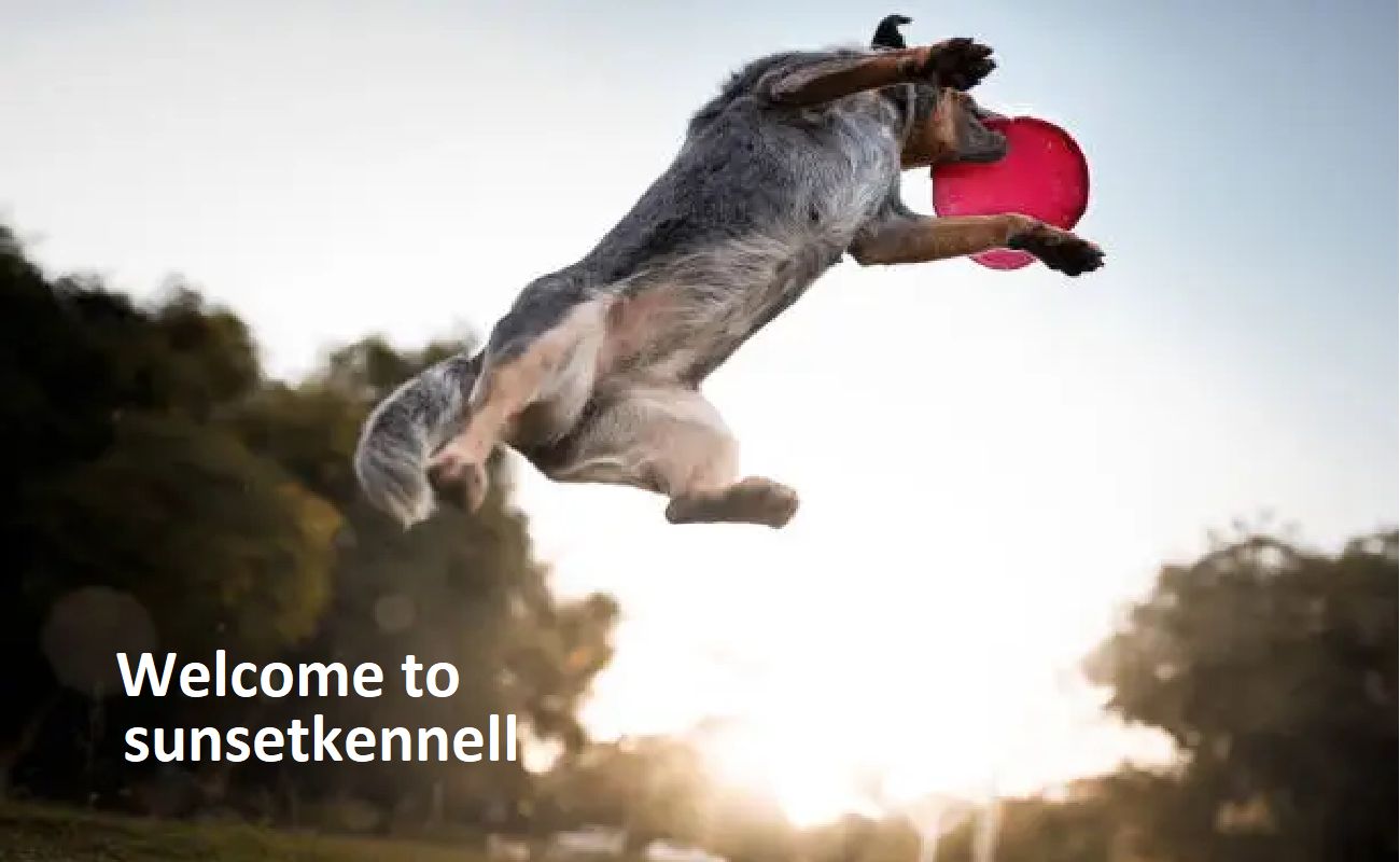 Sunset Kennel