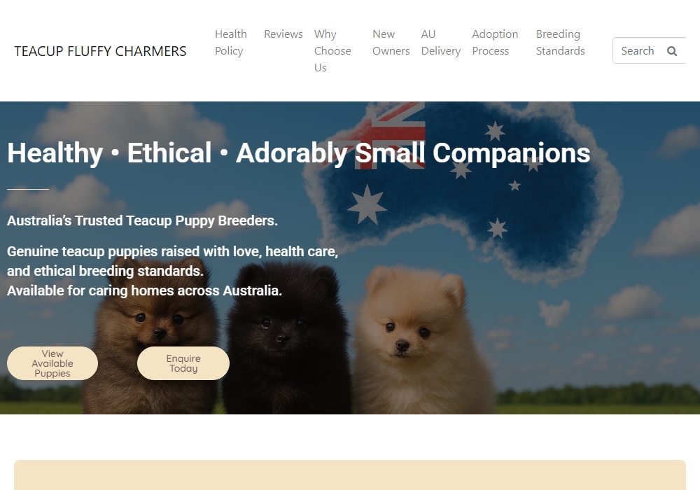 Premium Teacup Puppies in Australia Premium Teacup Puppies in Australia