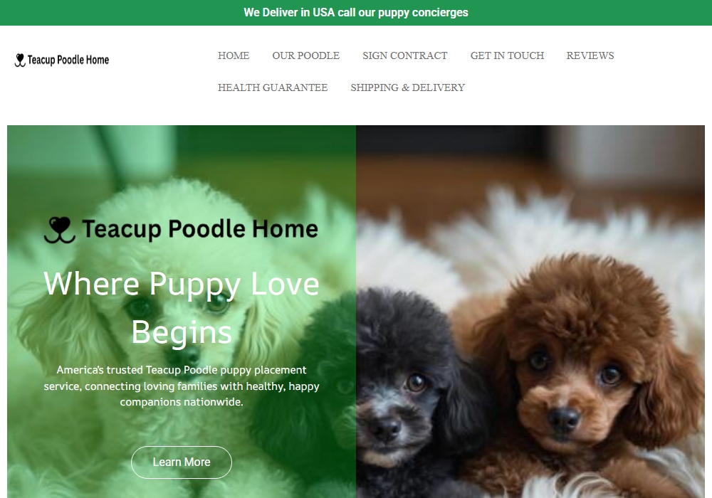Toy Poodle Home