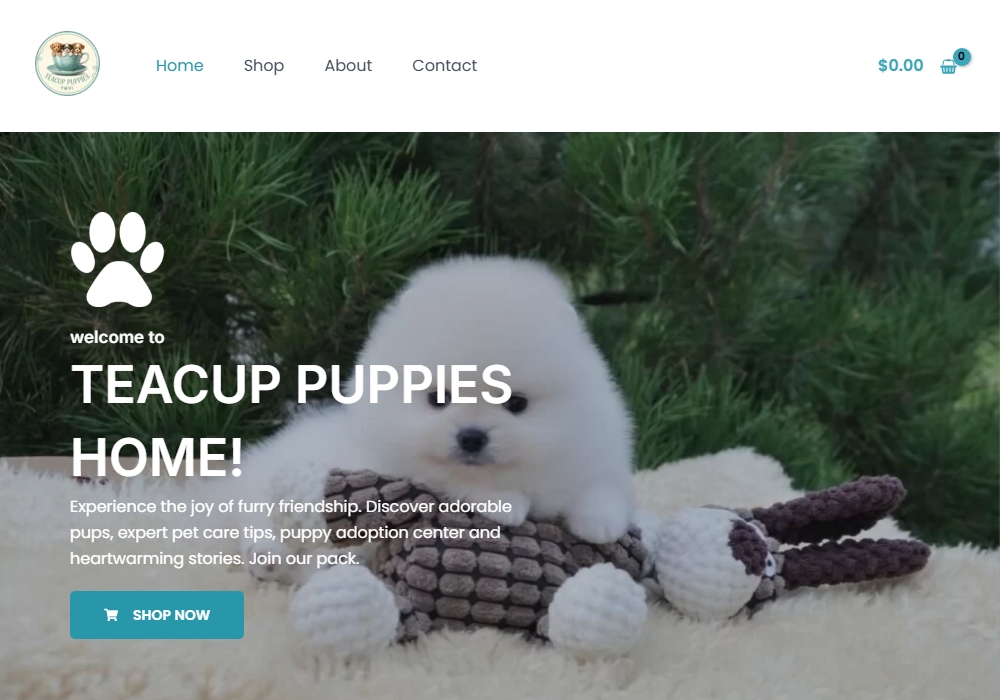 Teacup Puppies Home