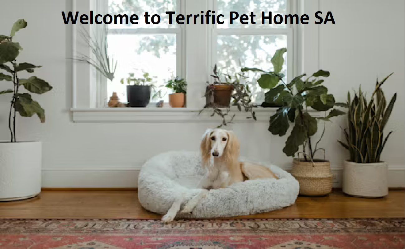 Terrific Pet Home