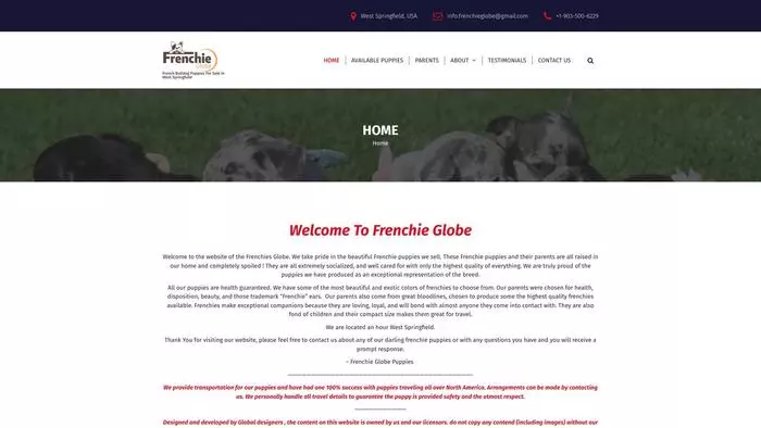 The french bulldog globe