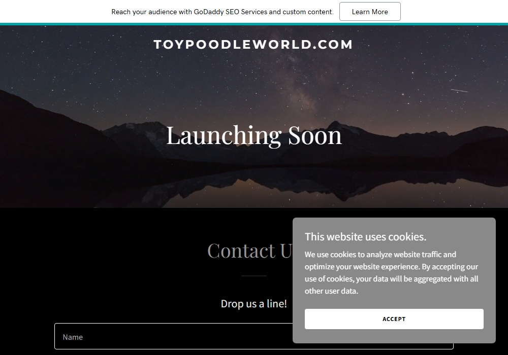 Toy Poodle World