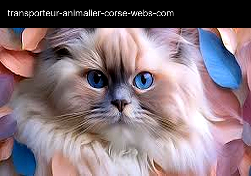 Transporteur Animalier Corse-du-Sud