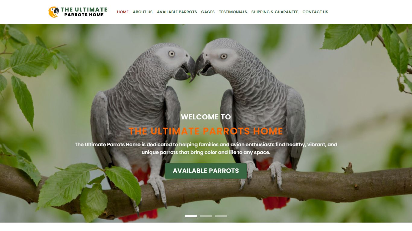 The Ultimate Parrots Home