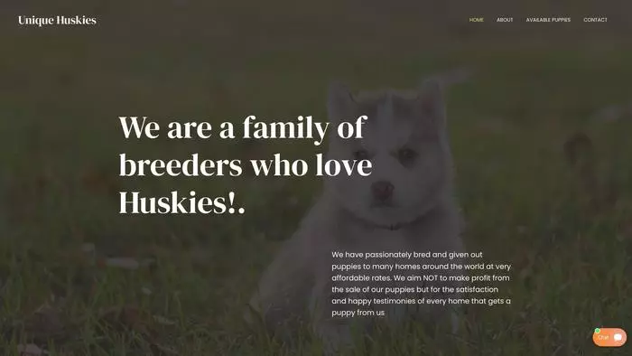 Unique huskies