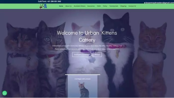 Urban kittens cattery