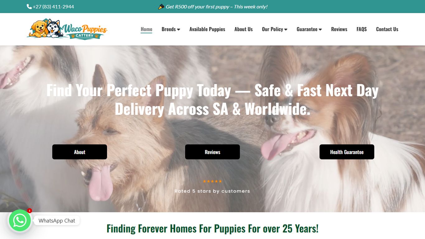 Waco Puppies Cattery