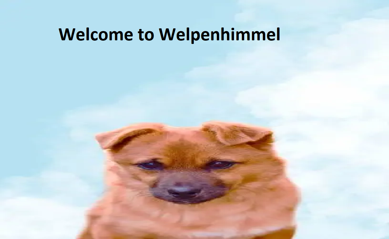 Welpen Himmel Welpen Himmel