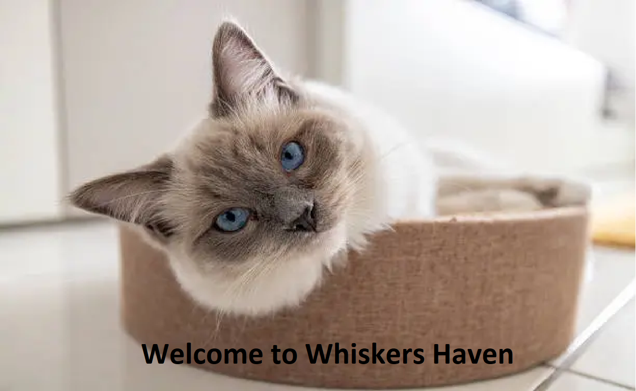 Whiskers Haven