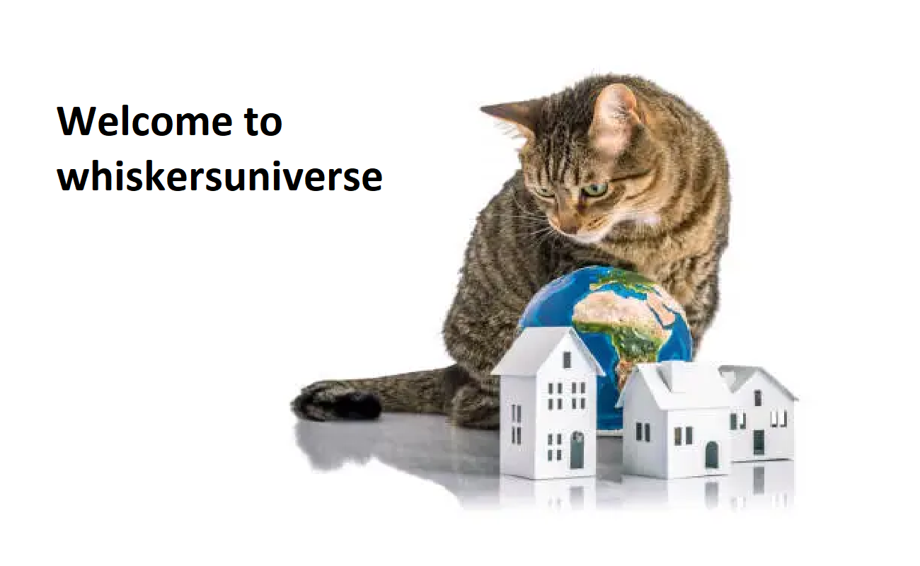Whiskers Universe