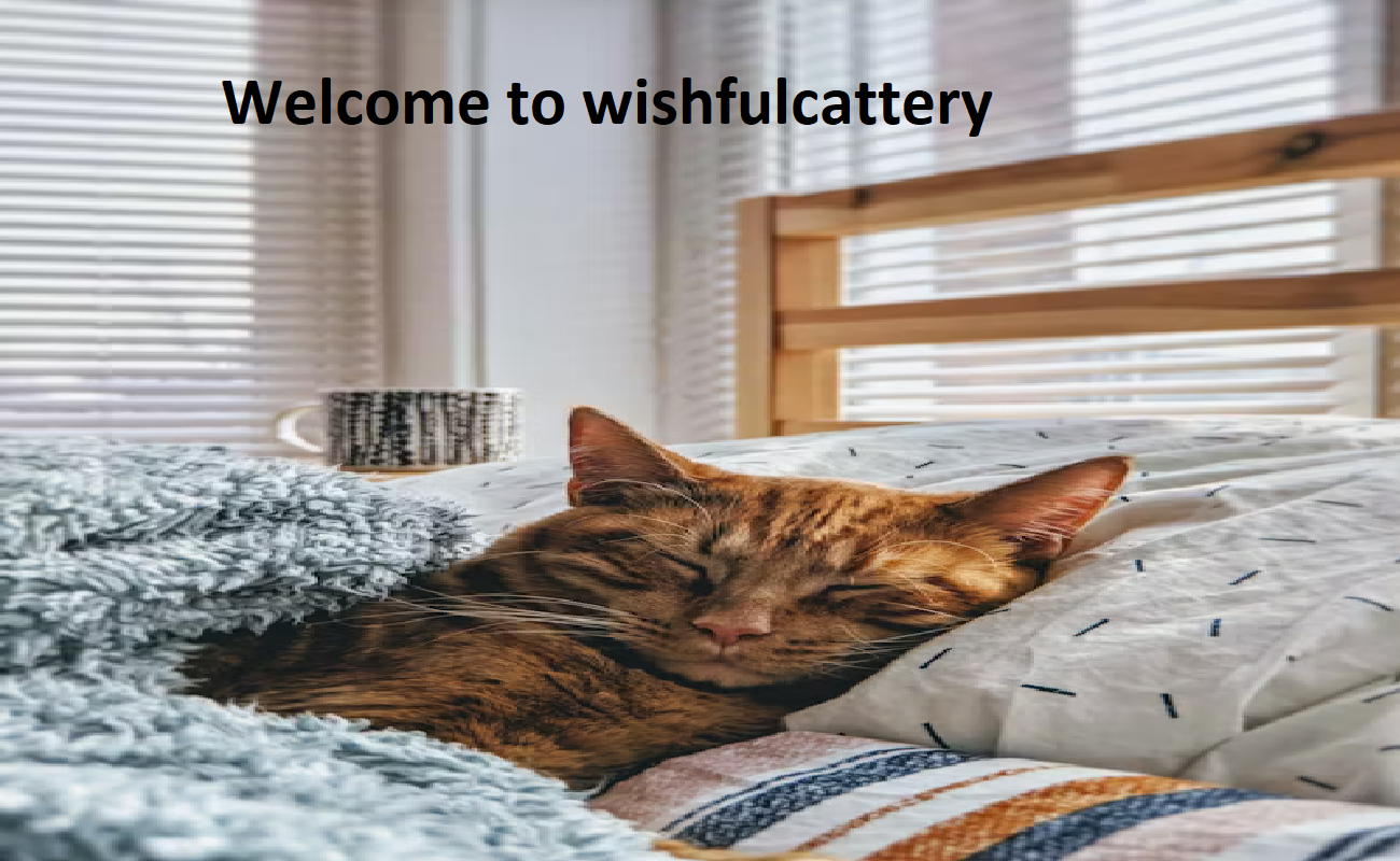 Wishful Cattery