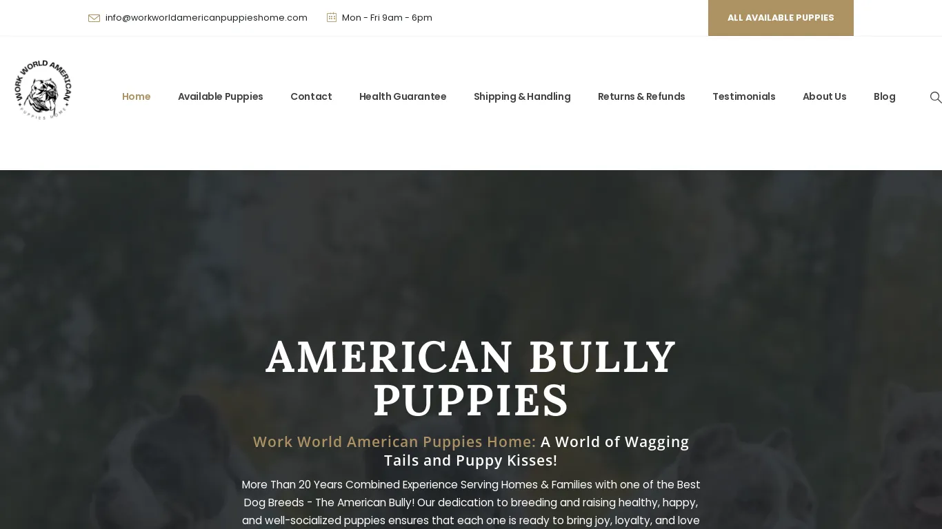 work-world-american-puppies-home.webp