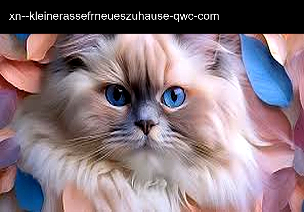 Kleine Rasse Fr Neues Zuhause