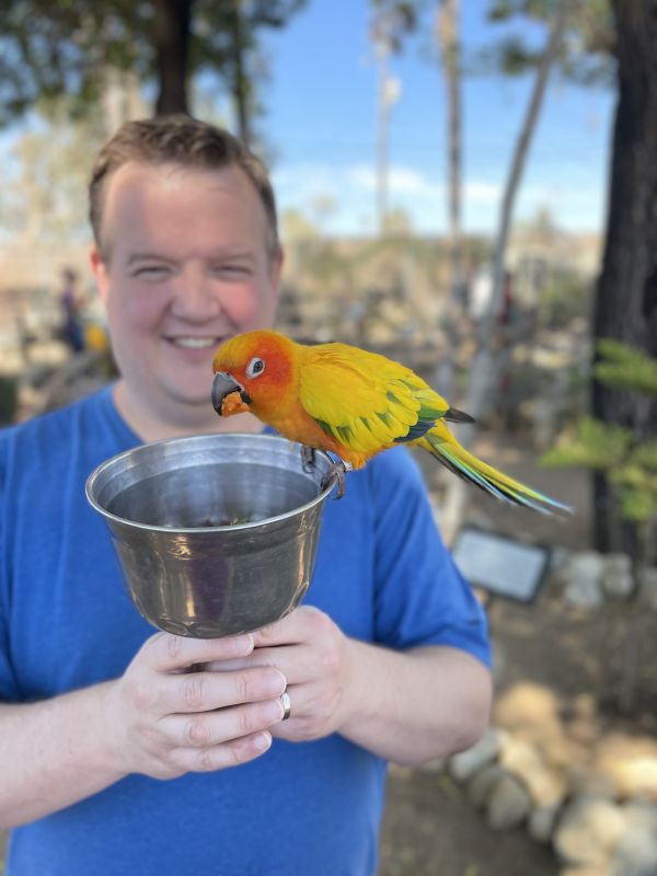 Paul Graham Paul Graham