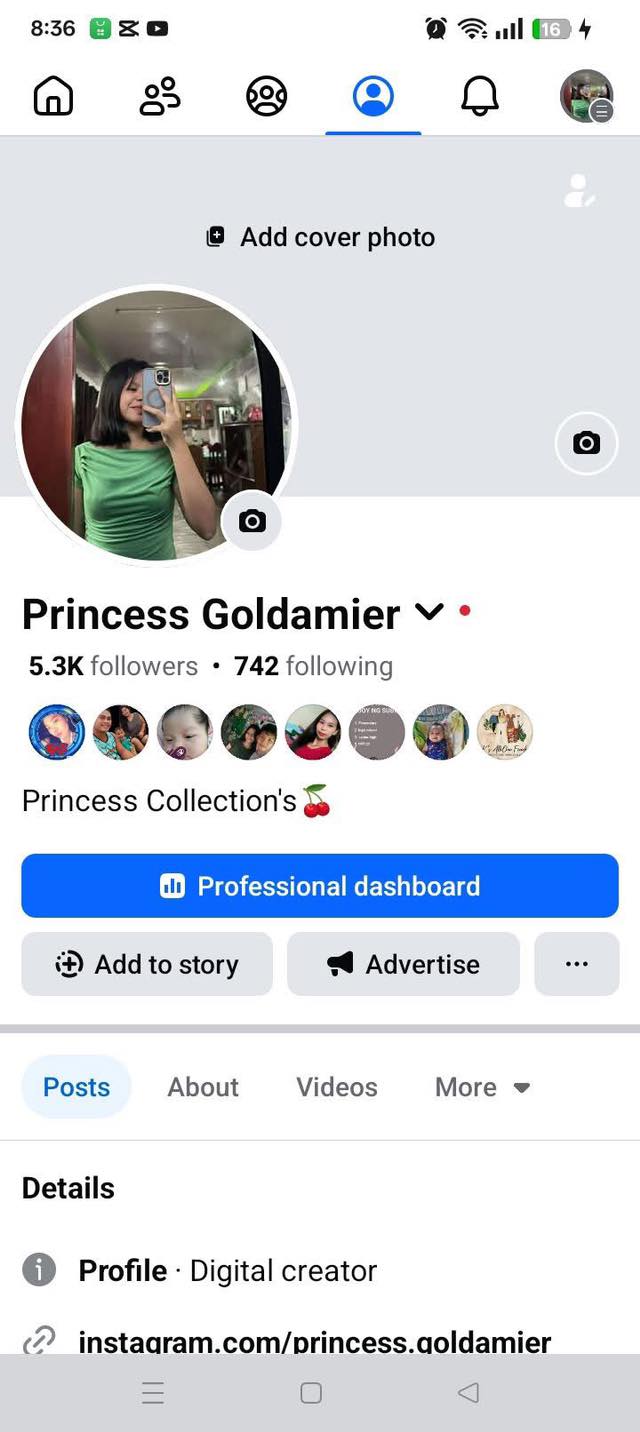 Princess Goldamier