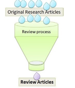 essay-writing-reviews-process