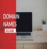 website-domain-name-scams