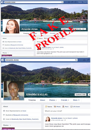 Fake Facebook Profile Example