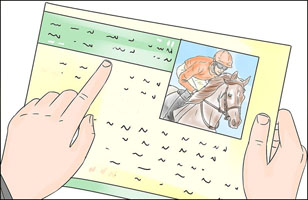 Riding chart of a horse