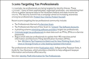 tax scam professional